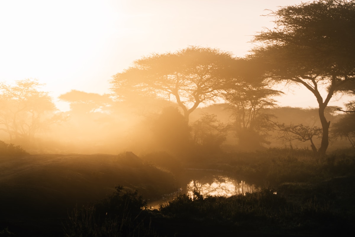 Bush landscape near Marloth Park at sunrise