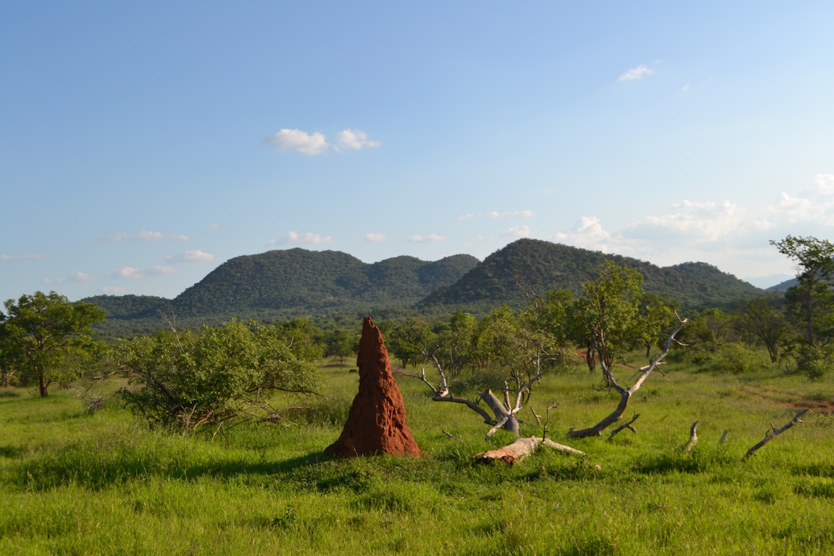Kruger National Park landscape from Marloth Park